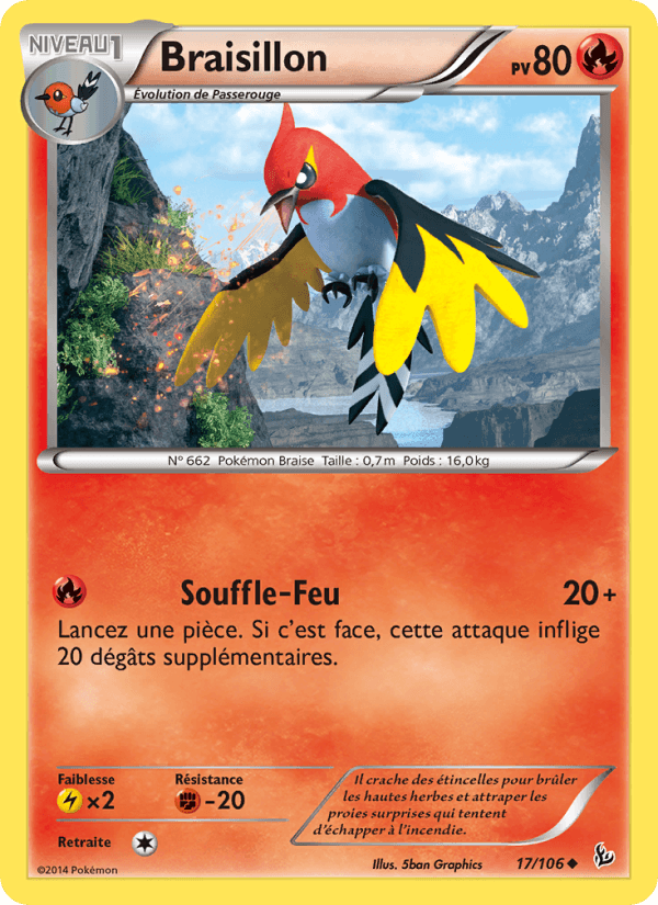 Braisillon