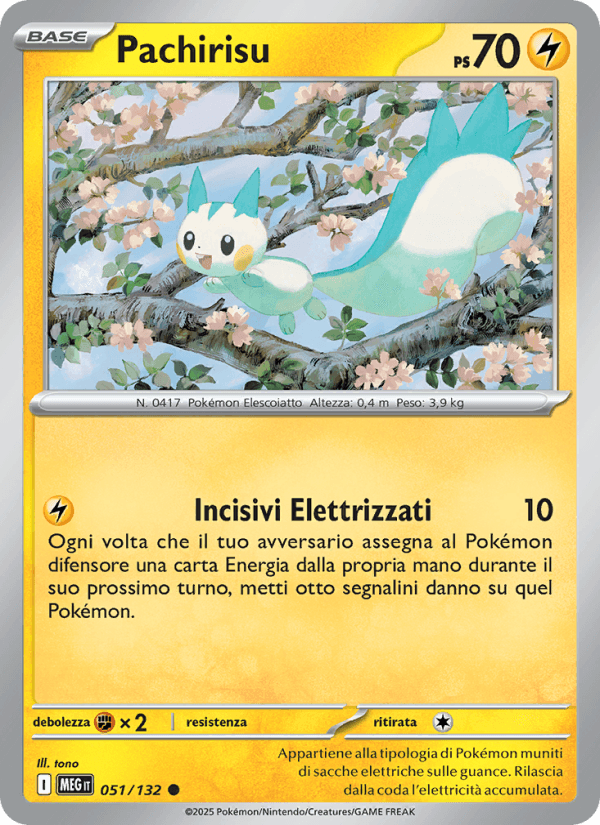 Pachirisu