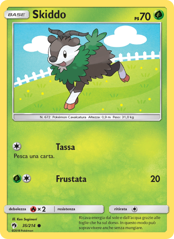 Skiddo