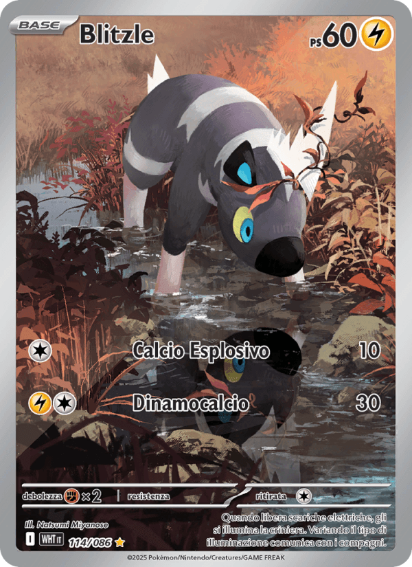 Blitzle