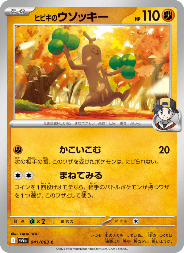 ヒビキのウソッキー